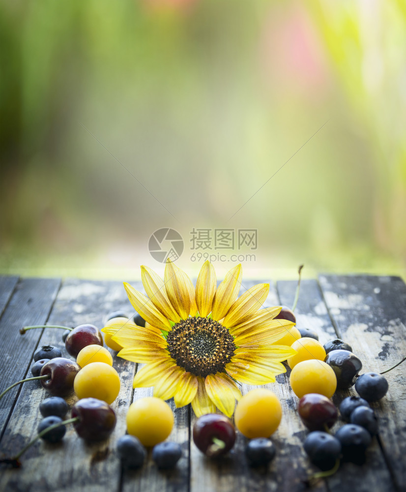 有向日葵和自然背景的木制桌椅上新鲜果子美丽的农业木制图片