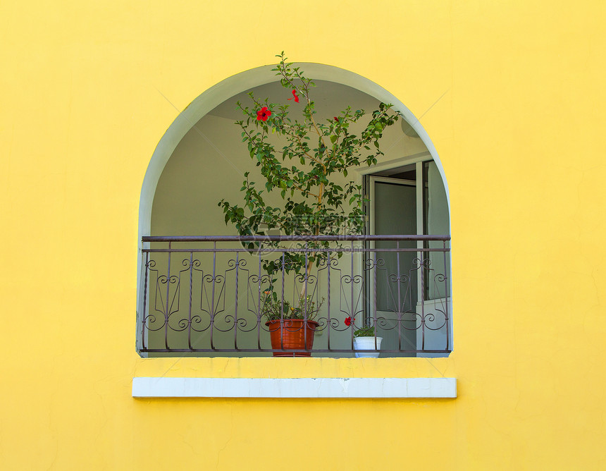 美丽的绽放黄色墙上有花的半圆形窗口家图片