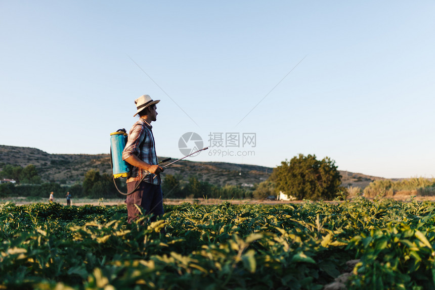 青年农民喷洒有机肥料身戴旧帽子和格衬衫的人工水泵罐老农业综合企食物图片