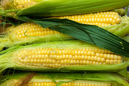 农田玉米或在集市出售粮食价格图片