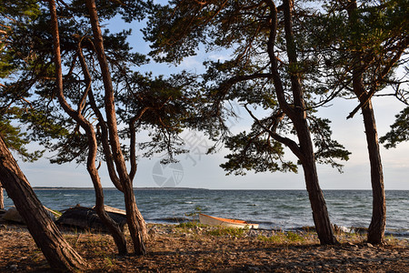 在瑞典波罗的海沿岸与上划船的沿海风景滨阳光天空橙图片
