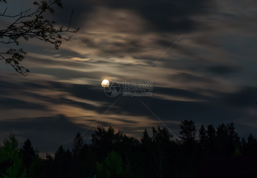 夜间晚在森林满月长的夜云中闪亮月之夜射入云中喜怒无常新的图片