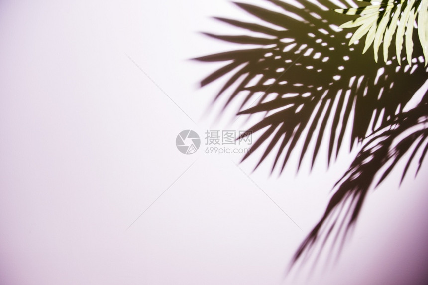 平坦的婚礼时髦绿棕榈叶粉红背景阴影图片