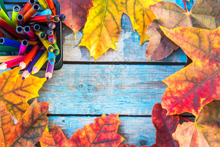 彩色枫叶多色铅笔和秋天枫叶背景