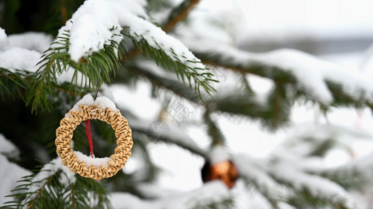 圣诞树装饰枝上的挂件图片