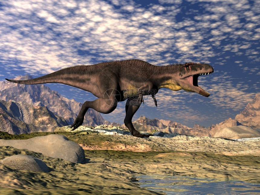 暴君Tyrannotitan恐龙在沙漠中咆哮3D渲染Tyrannotitan恐龙咆哮渲染物种古艺术图片
