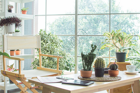 优雅简单的室内装饰和家居小花园图片