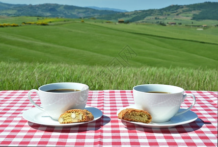 柏盘子绿色与意大利图斯卡风景对抗的彩布上咖啡和坎通尼图片