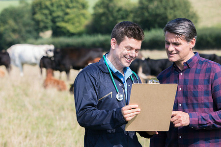 乳制品英国微笑农夫和兽医在看剪贴板的牛场图片