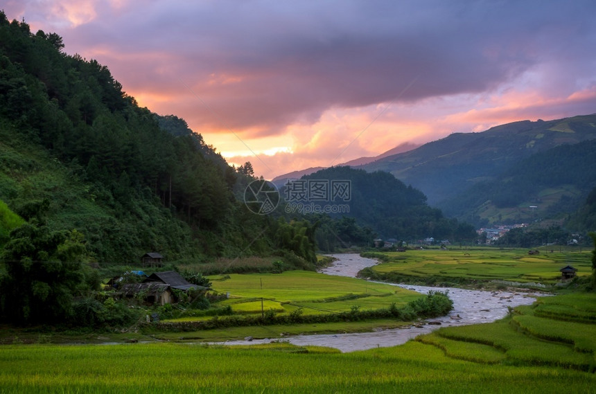 场地粗糙的谷越南YenBaiMuCangChai梯田上的稻越南西北部MuChai的稻田准备收割图片