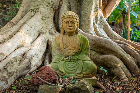 绿色和平老佛像冥想宗教符号在根老佛像冥想宗教符号圣洁祈祷图片