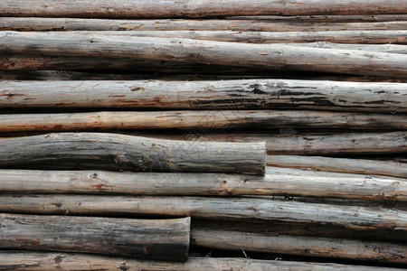 木头一个伐工点的连串被砍伐树木棕色图片