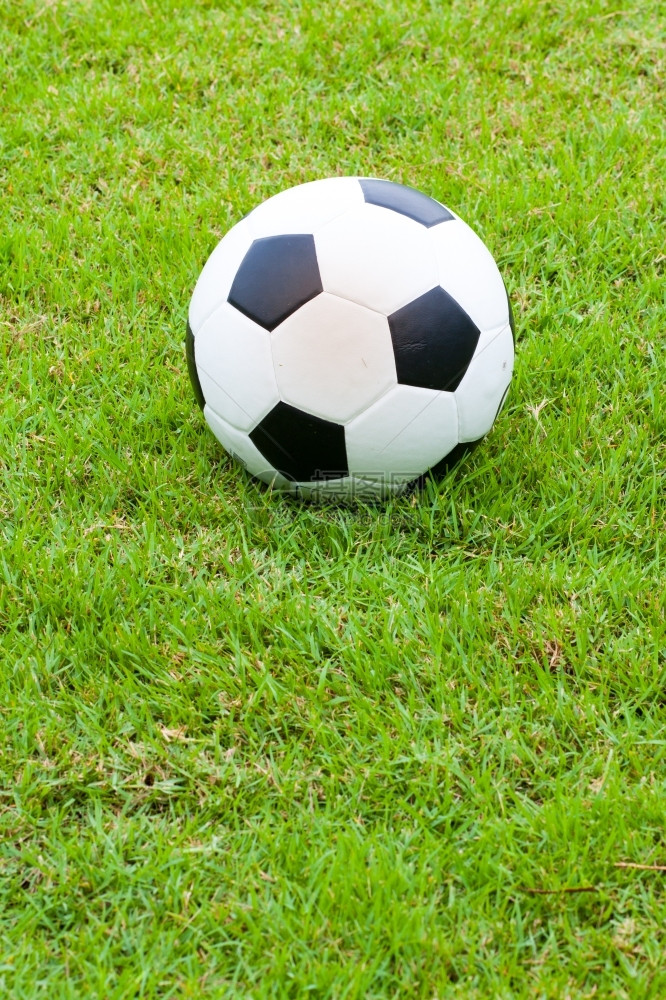 赢夏天自然黑色和白球被放在足场上草地图片