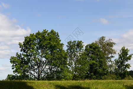 孤月山城景观晴天夏月风绿树与蓝天空对立春月风景蓬勃孤背景