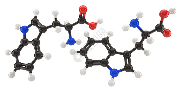 色氨酸剪裁Tryptophan分子结构3d插图带有剪切路径研究实验室设计图片