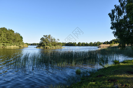 季节在瑞典群岛奥兰的自然保护区美丽的夏季景色从Hornsjon湖森林景观池塘高清图片素材