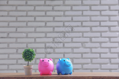 象征白墙桌边的小猪银行金融富有的图片