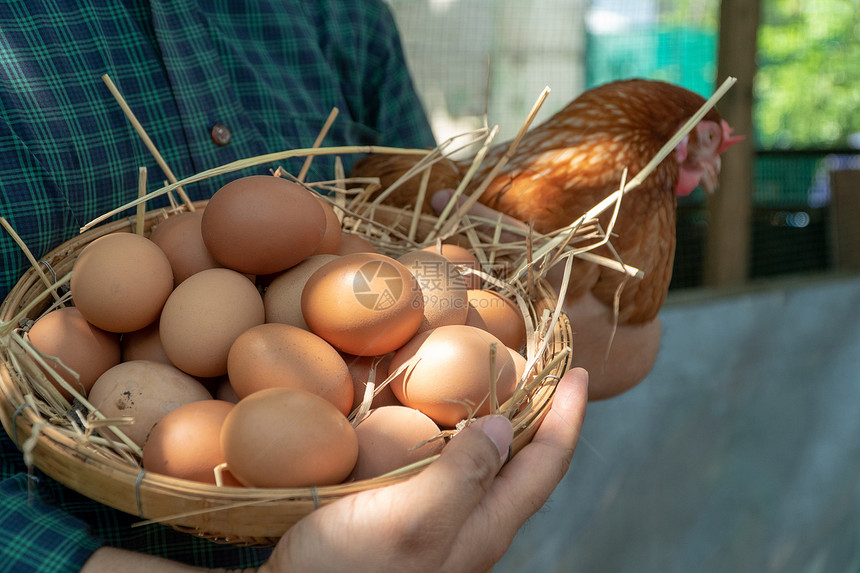 农民篮子里的新鲜鸡蛋图片
