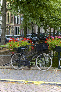 自行车景观海牙荷兰农村图片