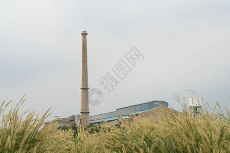 碾米机烟道箱稻田冒烟生产塔炼油厂图片