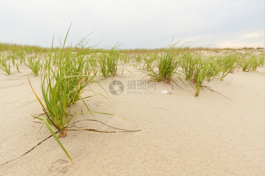 热带沙滩风景图片