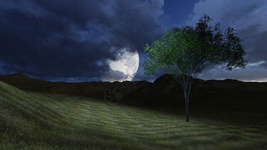 制作丰富多彩的夏天以3D软件制成的月夜图片