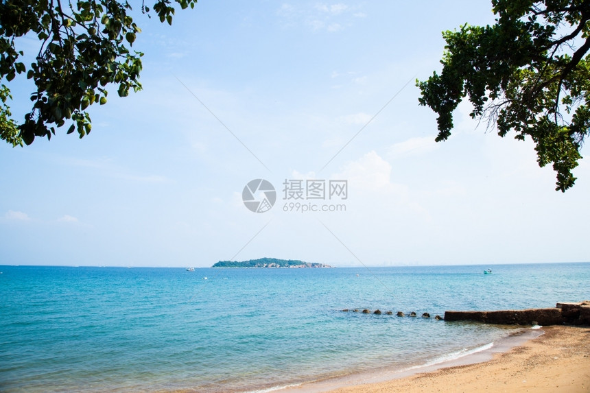 夏天带清水的海滩和有树木游客热带图片