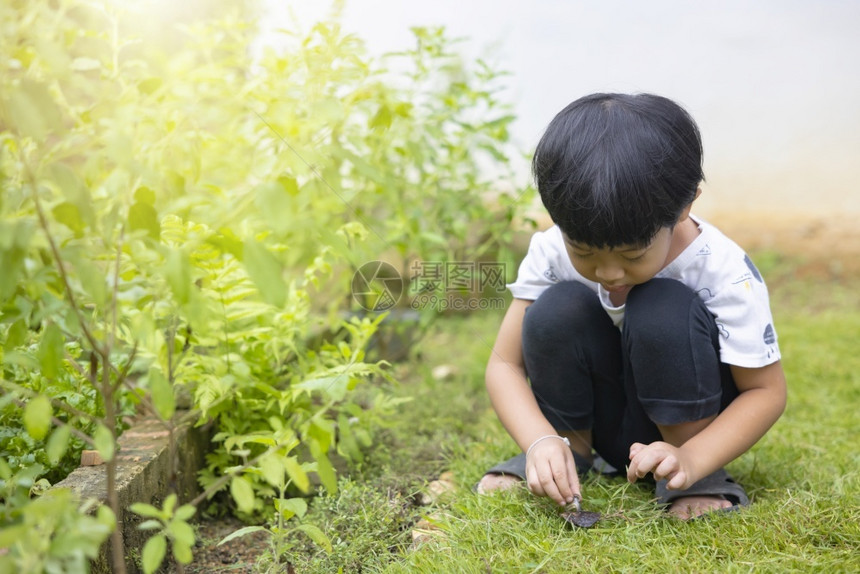 黑色的幸福情感穿着白衬衫和黑裤子的亚洲男孩直发黑在蔬菜区与蜗牛玩耍让人笑着的脸笑声图片