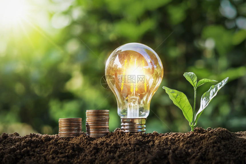 创新种植有灯泡和钱财的植物在土壤上种植并节省阳光概念货币商业图片