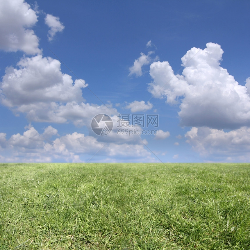 臭鼬清除云层天空和绿草的背景土地图片