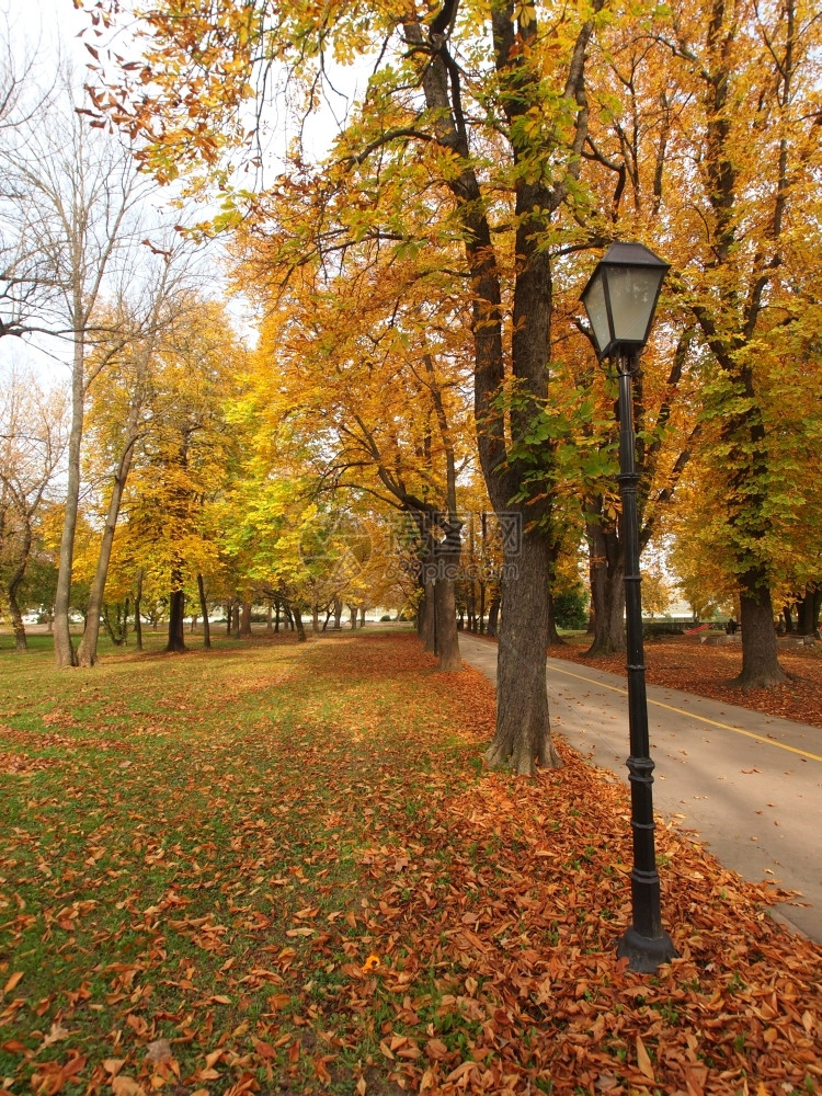 秋季公园图片