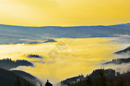 阳光生态景观喀尔巴阡山的清晨雾密日出前美丽的风景图片