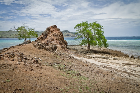 印度尼西亚小热带塞拉岛海滩地平线假期图片