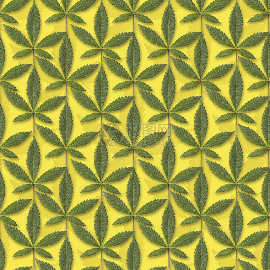 休闲的绿色新鲜无缝结构黄背景的叶可以被拉成瓦片二酚图片