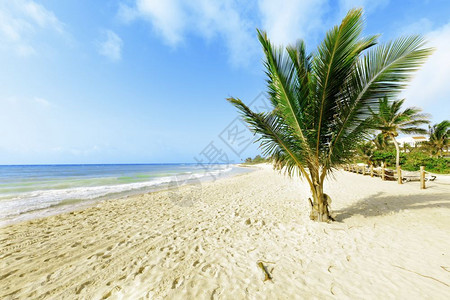 风景优美热带加勒比岛屿天堂的景象海岸线宁静图片