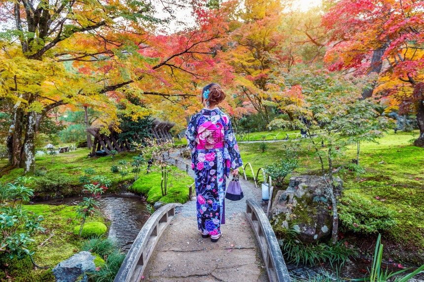 在日本京都秋天公园穿着日本传统和服的亚裔妇女年轻文化黄色图片
