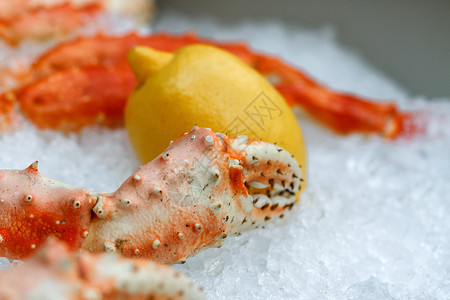 新鲜冷冻龙虾在冰面和柠檬上图片