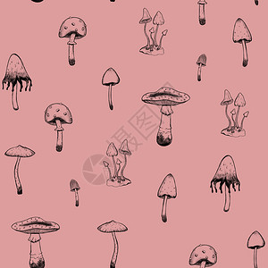 利用粉红背景的五花八门植物壁纸装饰数字图画风格的各种不同类型有毒蘑菇类样VintageStyle形象的鹅膏菌木头插画
