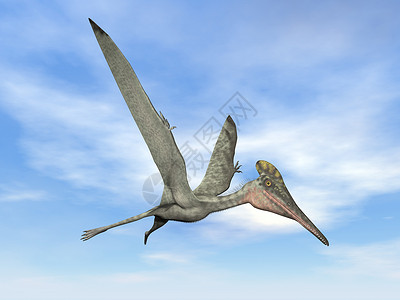 无齿翼龙在蓝天飞行的原史前鸟类3D使原史前鸟类3D让原史前鸟类灭绝翼龙航班设计图片
