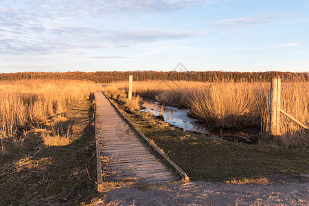 沼泽阳光在西德群岛奥兰的一个湿地将木林脚桥连接到草原上走道图片