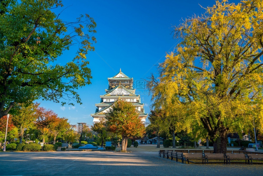 秋天老的旅行日本大阪城堡图片