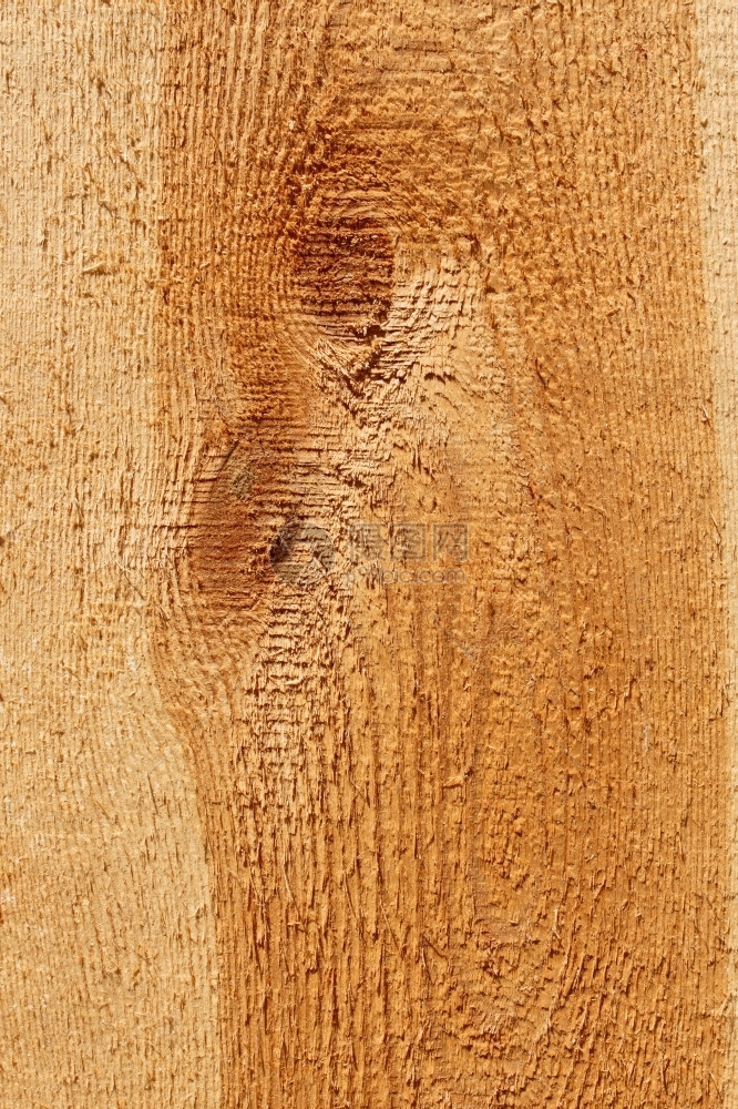 木板乡村打结的含年环木制板纵向部分详细粗形宏观结构图示图片