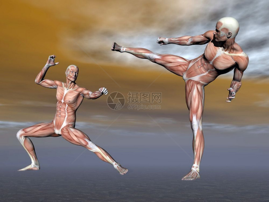 两只雄肌肉在阴云背景下战斗雄肌肉三维转化成3D肌肉组织运动药物图片