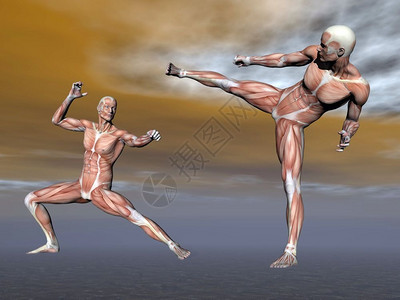 两只雄肌肉在阴云背景下战斗雄肌肉三维转化成3D肌肉组织运动药物图片