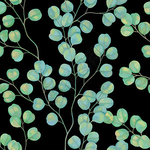桉树树枝植物学无缝结构图案植物画涂有丙烯漆黑色背景上美丽的天文树枝画出温柔的壁纸风格Eucalypt符合实际的绘画黑色丙烯酸纤维设计图片