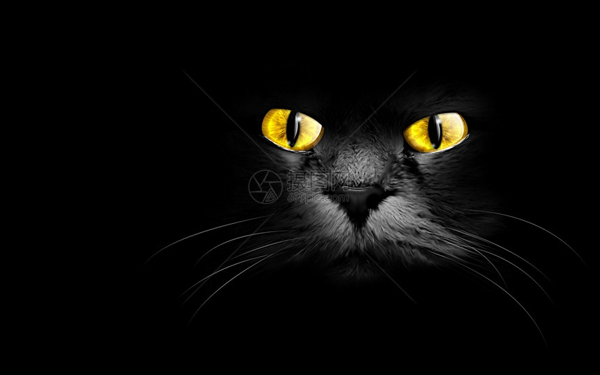 恶魔对比在黑暗中咬猫发光的图片
