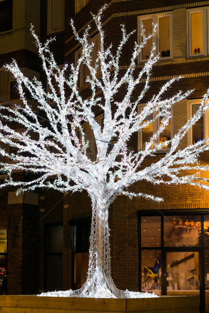 夜里城市街道上充满圣诞灯光的美丽树上照亮着美丽而明的树木建造城市景观购物图片