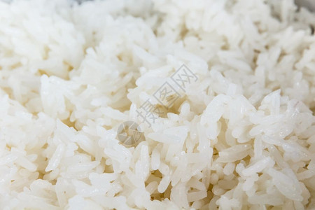 茉莉花高清图蒸熟白饭庄稼关闭熟稻米的近端视图有选择焦点背景
