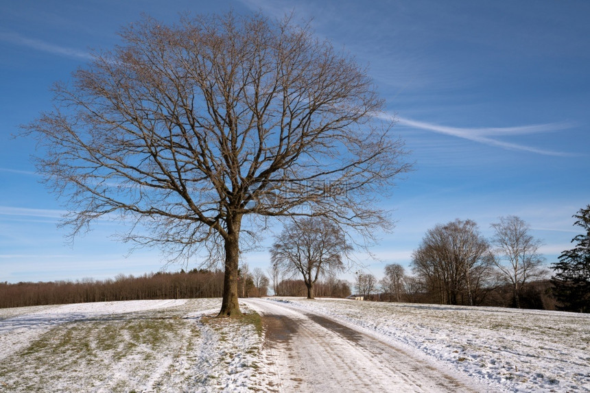 环境冬天气德国伯吉切斯州林达尔Lindlar附近的风雪覆盖地貌全景图象图片