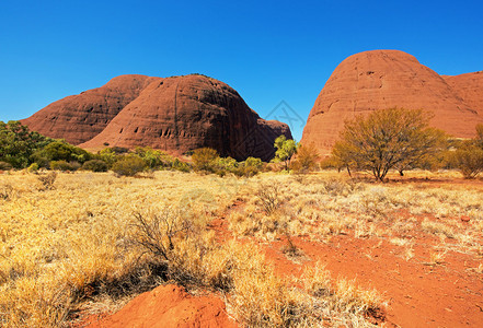 红色的地质学土著澳大利亚北部地区Olgas的KataTjuta图片